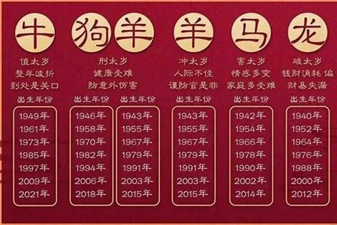 2005年生肖|2005年是属什么生肖 2005年出生的人属什么